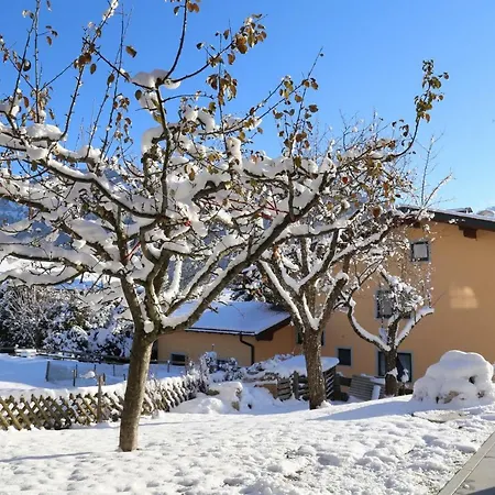 Appartamento Ilvy Söll