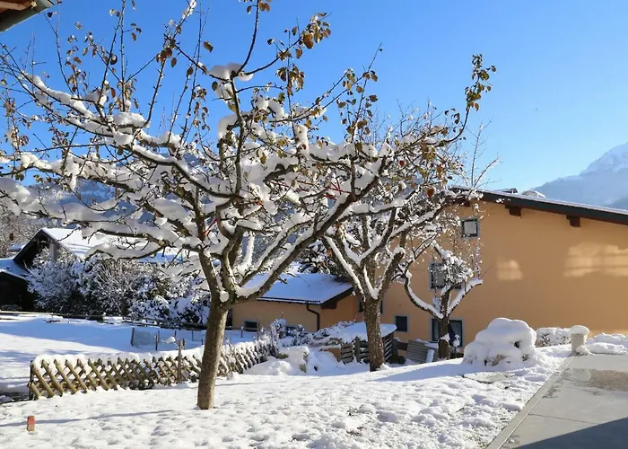 Appartamento Ilvy Söll